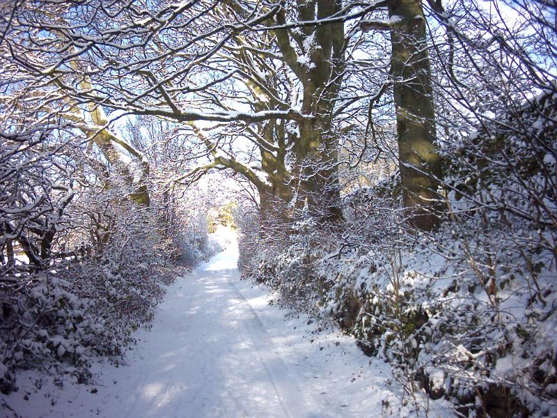 DSC_0008.jpg - "Sunshine and Snow" - by James Finch Green Gate Lane, Long Preston 2nd December, 2008